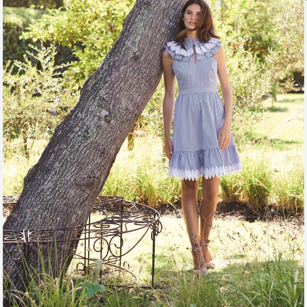 Ted Baker London Elegant Blue and White Ruffled Dress, US 8